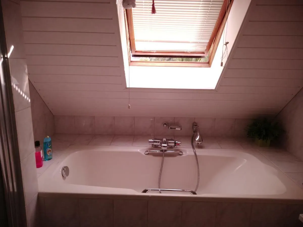 Homestay Dendolili Room Amsterdam